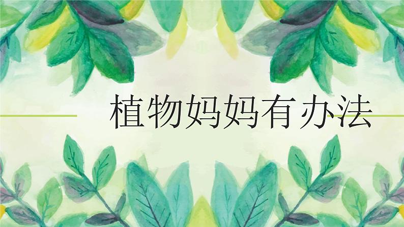 植物妈妈有办法PPT课件101