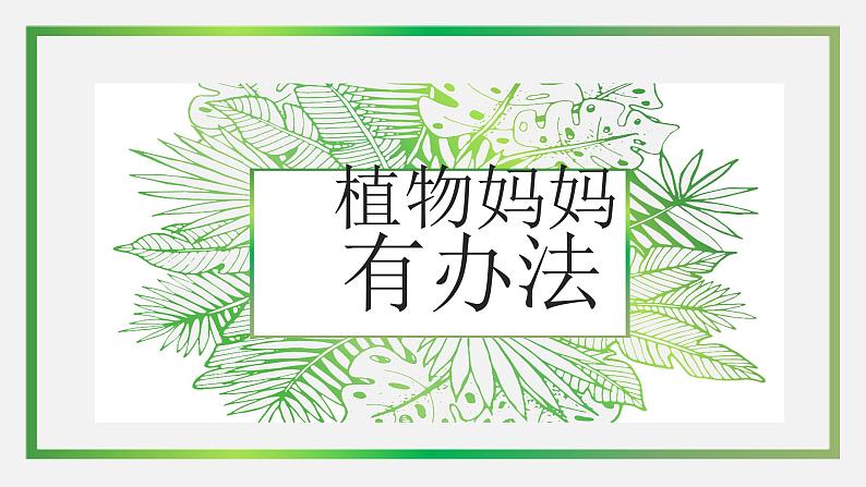 植物妈妈有办法PPT课件3第1页
