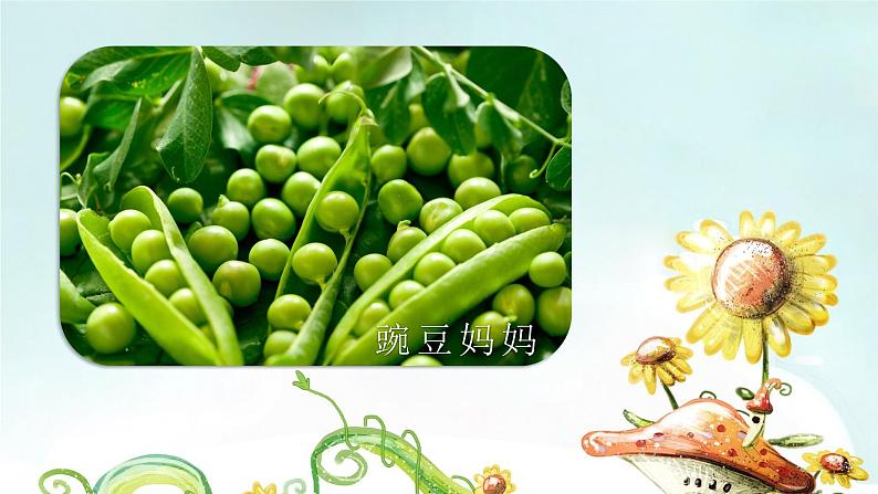 植物妈妈有办法PPT课件907