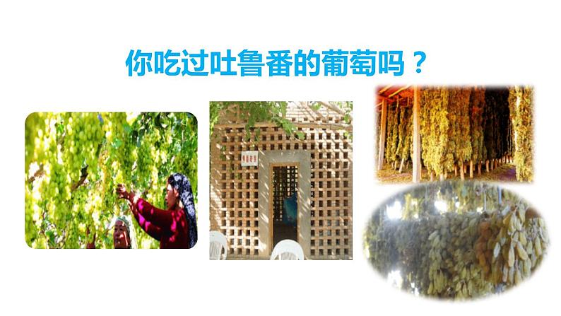 葡萄沟PPT课件202