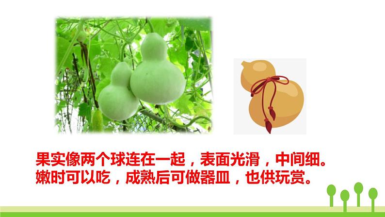 我要的是葫芦PPT课件805