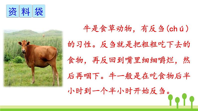 在牛肚子里旅行PPT课件7第6页