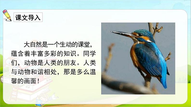 搭船的鸟PPT课件803