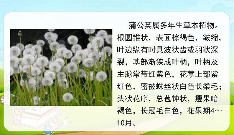 金色的草地PPT课件8第2页