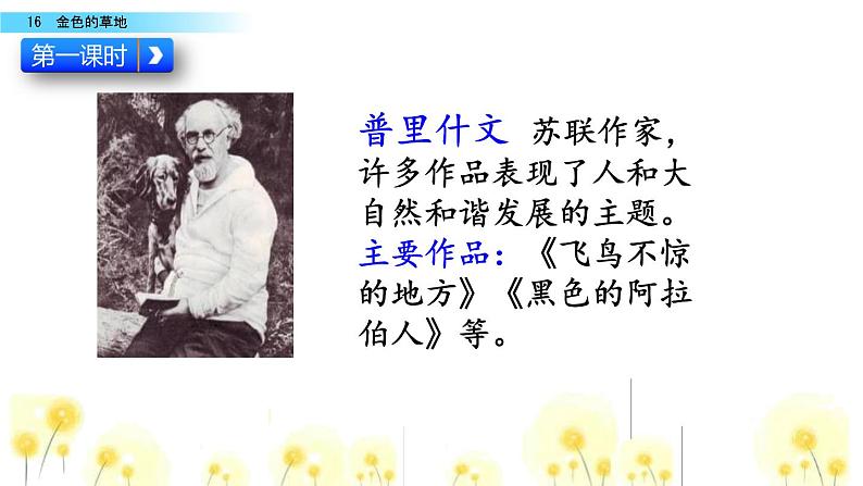 金色的草地PPT课件703