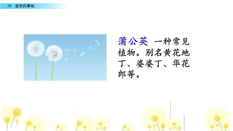 金色的草地PPT课件704