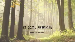 父亲树林和鸟PPT课件5