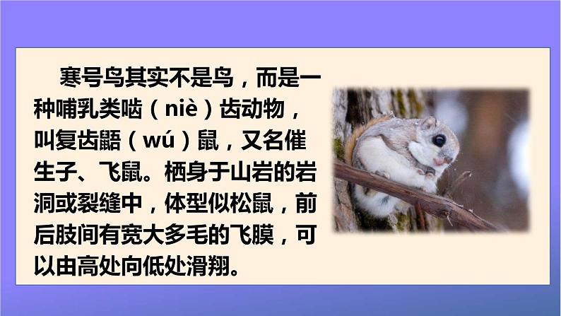 人教部编版小学语文二年级上册《13 寒号鸟》课堂教学课件PPT公开课03