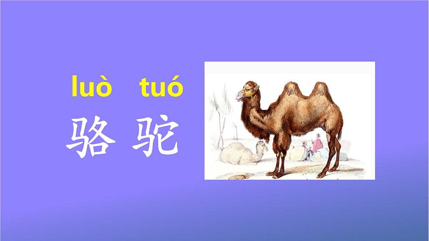 人教部編版小學(xué)語文二年級(jí)上冊(cè)《語文園地七》課堂教學(xué)課件PPT公開課第5頁(yè)