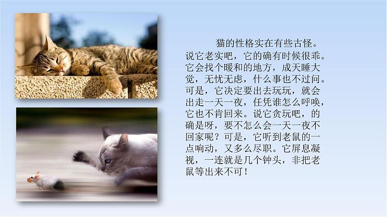 五上作文第1单元 我的心爱之物教学指导简案+PPT教学课件03