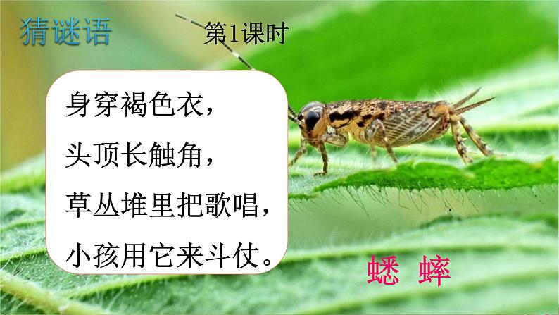 人教统编版小学语文三年级上册《10 在牛肚子里旅行》课堂教学课件PPT公开课第2页
