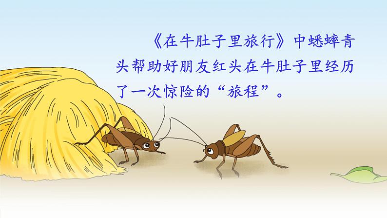 人教统编版小学语文三年级上册《习作:我来编童话》课堂教学课件PPT公开课第7页