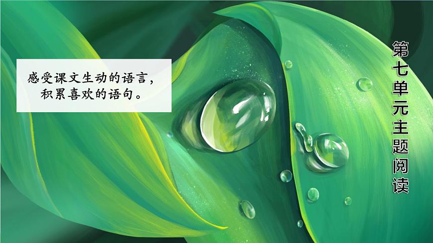 人教統(tǒng)編版語文小學三年級上冊《第七單元主題閱讀》課堂教學課件PPT公開課第2頁