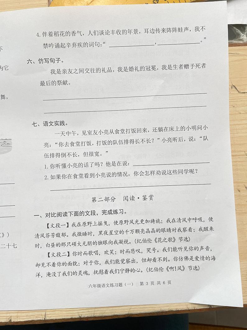 陕西省榆林市定边县杨井镇中心小学2023-2024学年六年级上学期10月月考语文试卷02