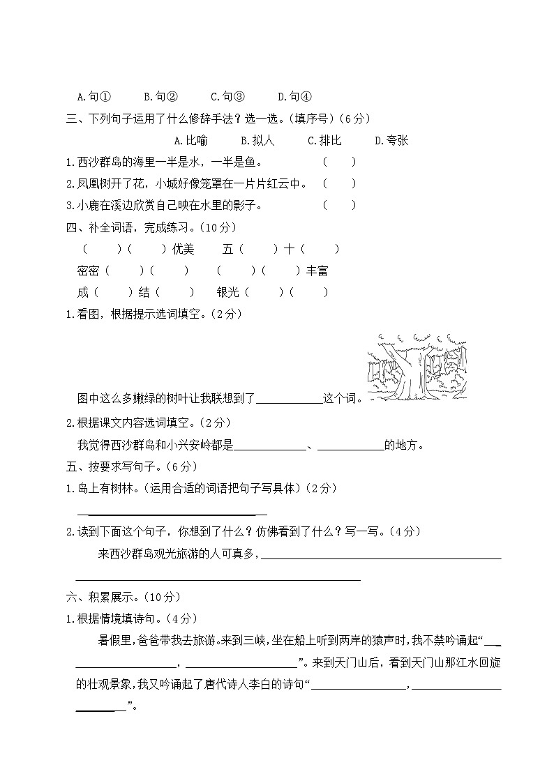 三年级语文上册第六单元综合训练+讲解PPT02