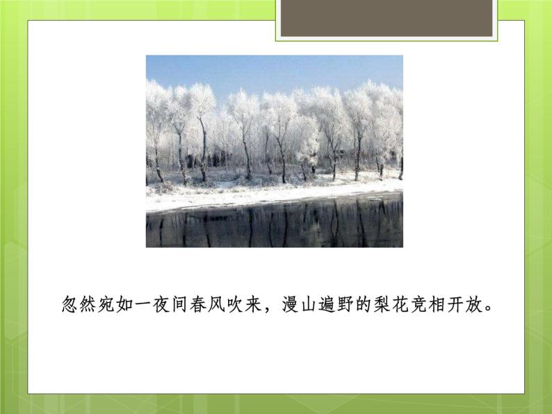 《呼风唤雨的世纪》PPT+教案+同步练习07