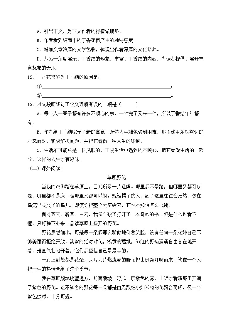 【新课标】统编版六年级语文上册分层作业设计-2.丁香结(含答案)第3页