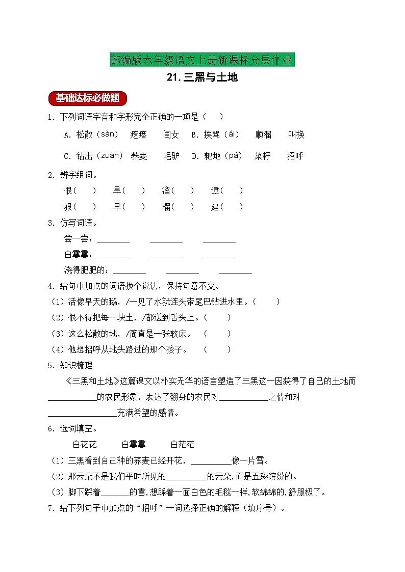 【新课标】统编版六年级语文上册分层作业设计-21.三黑与土地(含答案)01