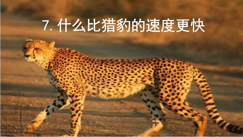金坛区部编版五年级语文上册第7课《什么比猎豹的速度更快》课件(含2课时)第1页