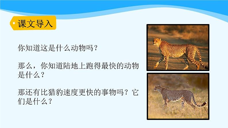 金坛区部编版五年级语文上册第7课《什么比猎豹的速度更快》课件(含2课时)第2页