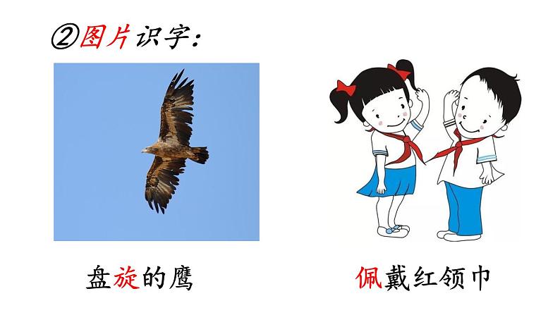 统编版三年级语文上册第七单元 22 读不完的大书课件PPT第4页