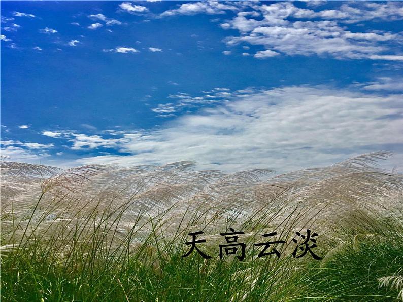 4《赠刘景文》(课件)三年级上册语文部编版06