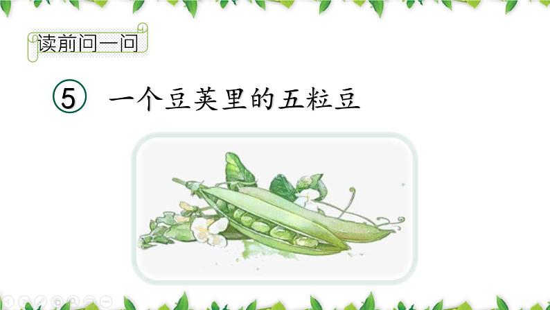 一个豆荚里的五粒豆PPT课件703