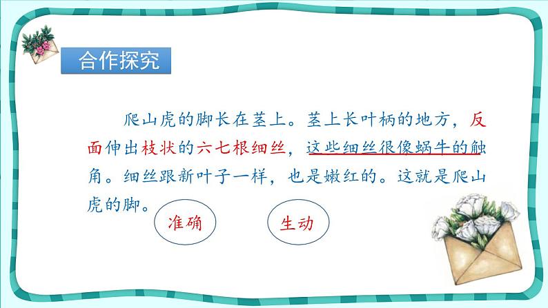 爬山虎的脚PPT课件7第4页