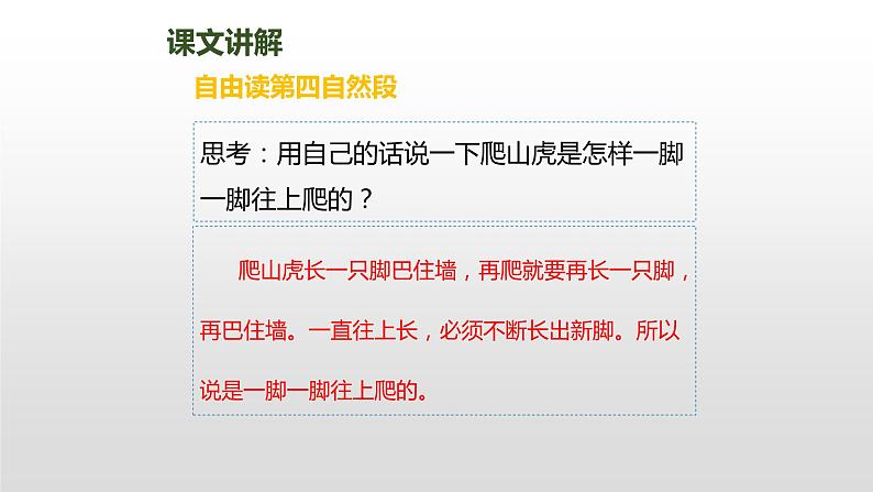 爬山虎的脚PPT课件5第6页