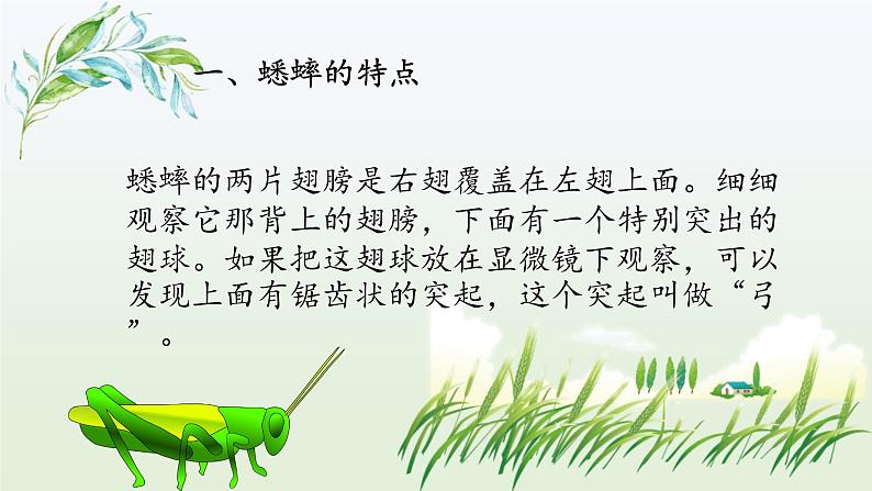 蟋蟀的住宅PPT课件3第8页