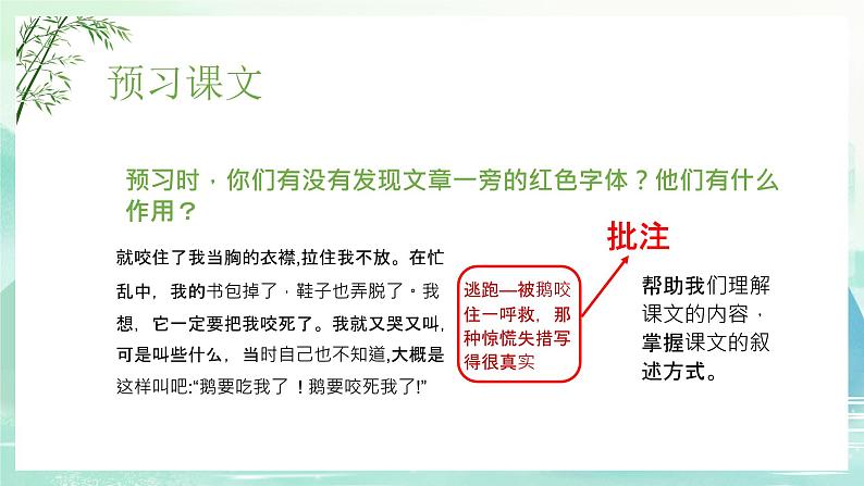 牛和鹅PPT课件7第6页