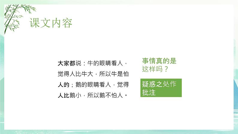 牛和鹅PPT课件7第8页