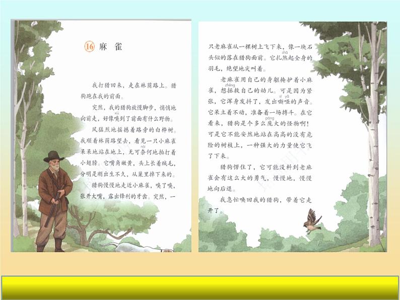 麻雀 与爬天都峰单元整合课件PPT第5页