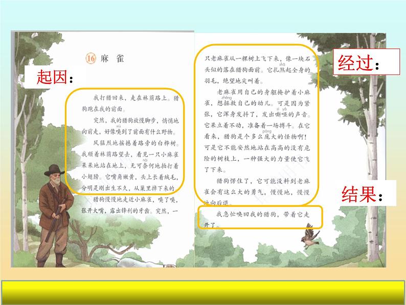 麻雀 与爬天都峰单元整合课件PPT第8页