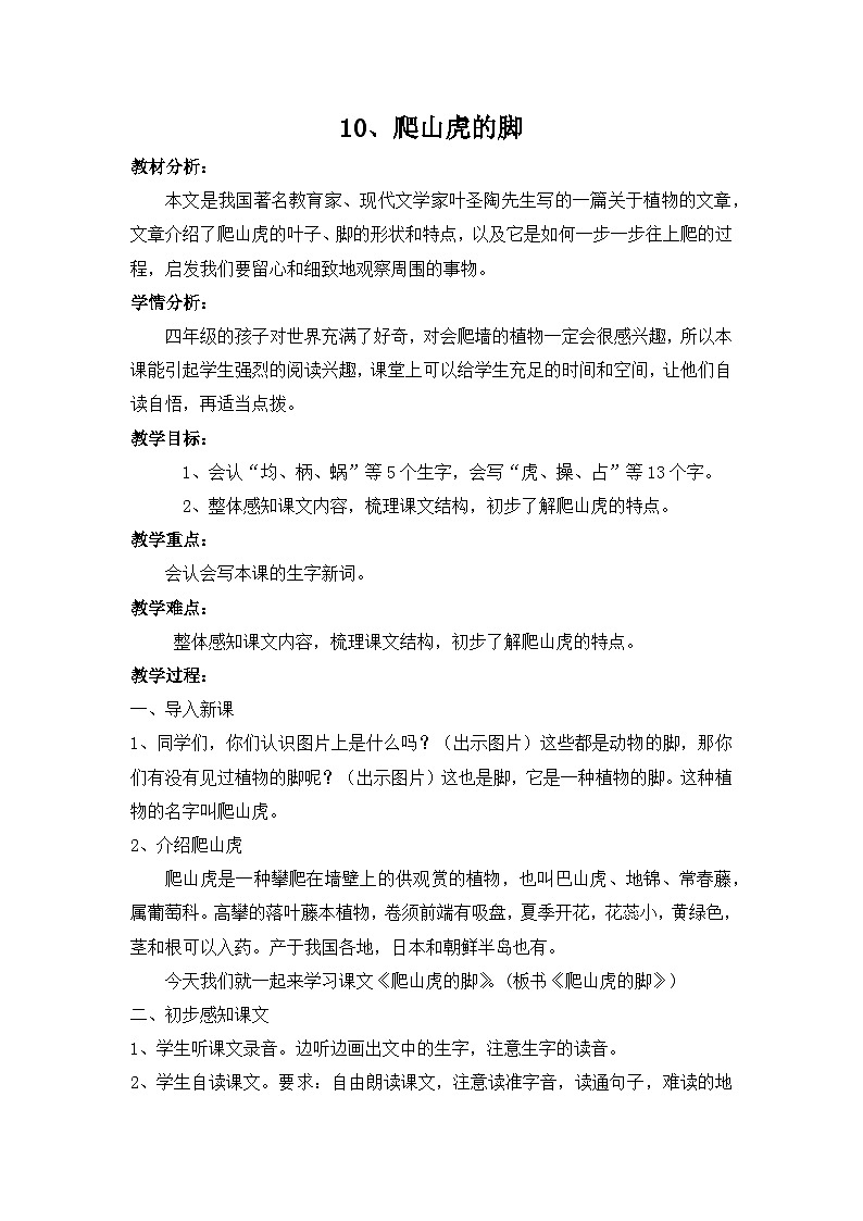 爬山虎的脚  教案第1页