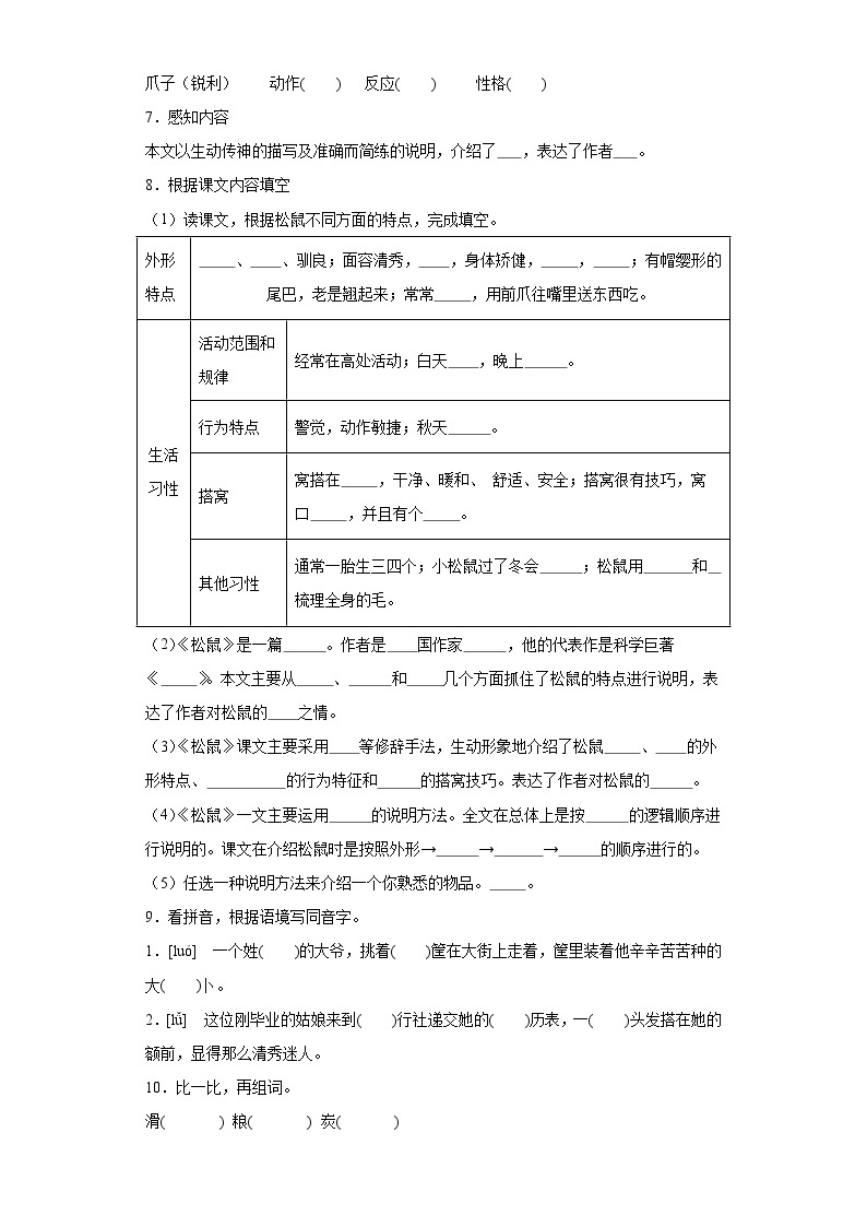 17.松鼠同步练习试题-2023-2024学年部编版语文五年级上册02