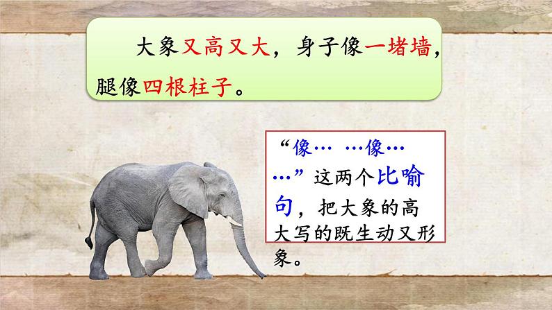 曹冲称象 公开课 第二课时 课件第6页