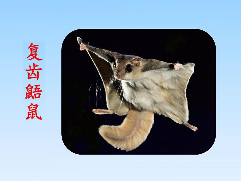《寒号鸟》公开课 第一课时 课件第3页