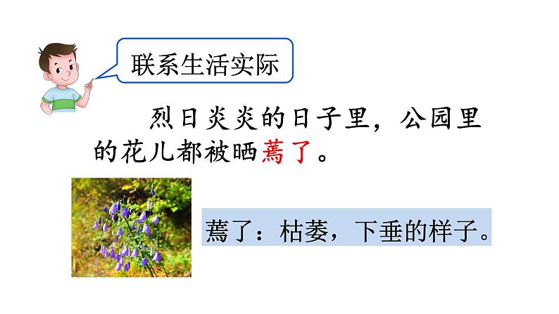 统编版三年级语文上册第二单元语文园地二课件PPT第6页