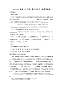 2023年安徽省安庆市怀宁县小升初语文真题及答案