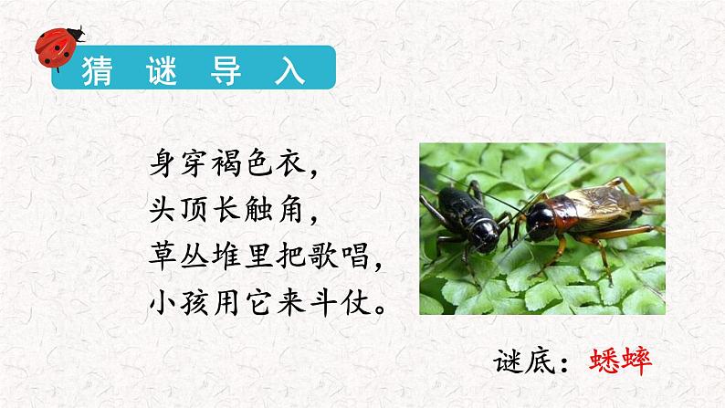 10+在牛肚子里旅行(课件)2023-2024学年语文三年级上册(统编版)第2页