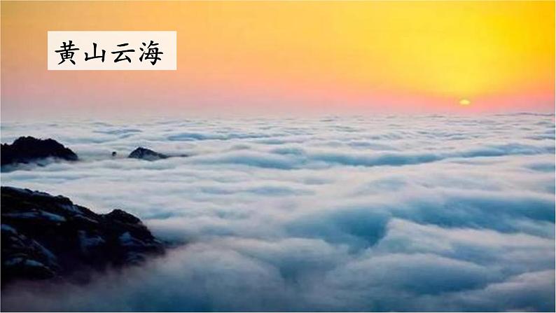 10+在牛肚子里旅行(课件)2023-2024学年语文三年级上册(统编版)第5页