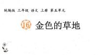 语文三年级上册金色的草地课文配套ppt课件