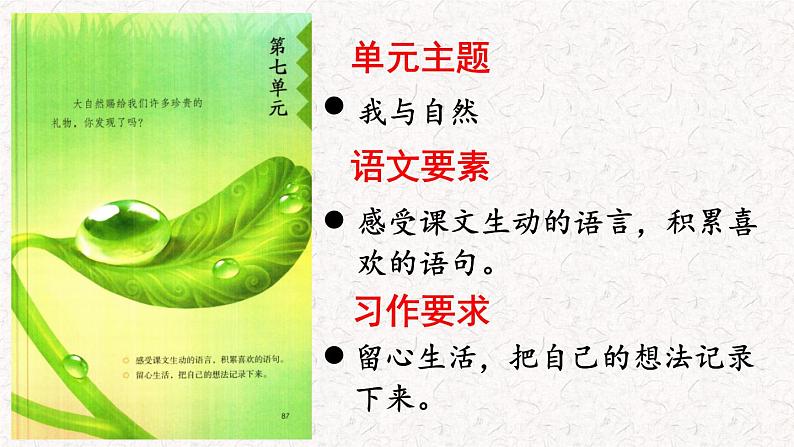 21.大自然的声音(课件)2023-2024学年语文三年级上册(统编版)第2页