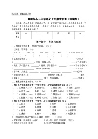 盐城名小五年级语文上册期中自测-2023-2024学年新课标（统编版）