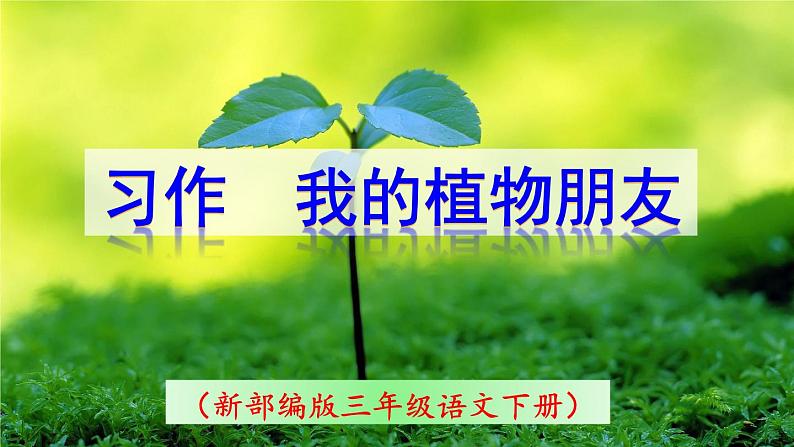 部编三年级下册 第1单元 《习作-我的植物朋友》 课件第1页