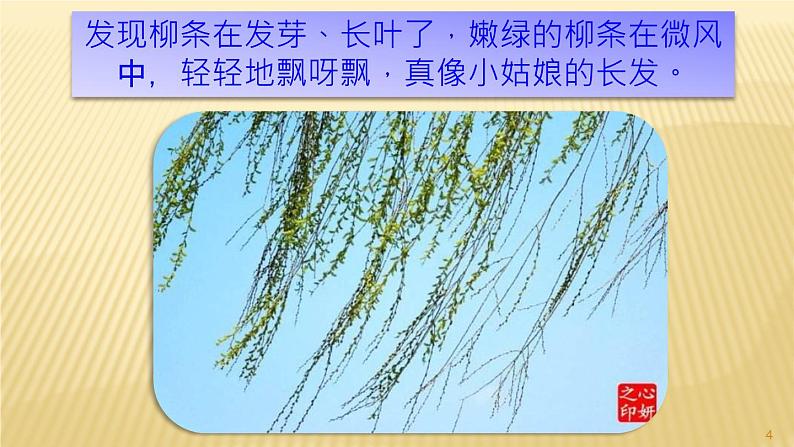 部编三年级下册 第1单元 《习作-我的植物朋友》 课件第4页