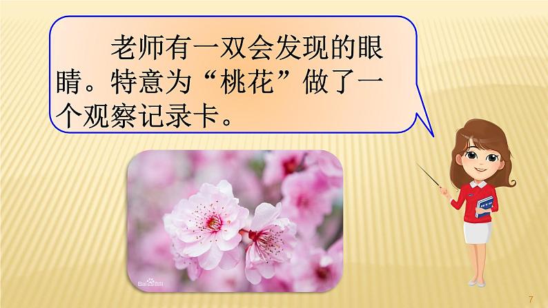 部编三年级下册 第1单元 《习作-我的植物朋友》 课件第7页
