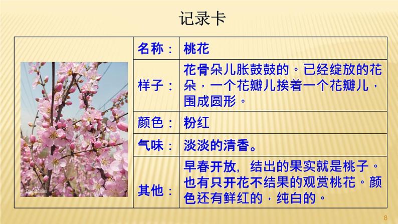 部编三年级下册 第1单元 《习作-我的植物朋友》 课件第8页