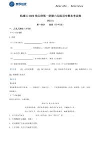 2020-2021学年上海市杨浦区六年级上学期期末语文试题（解析版）